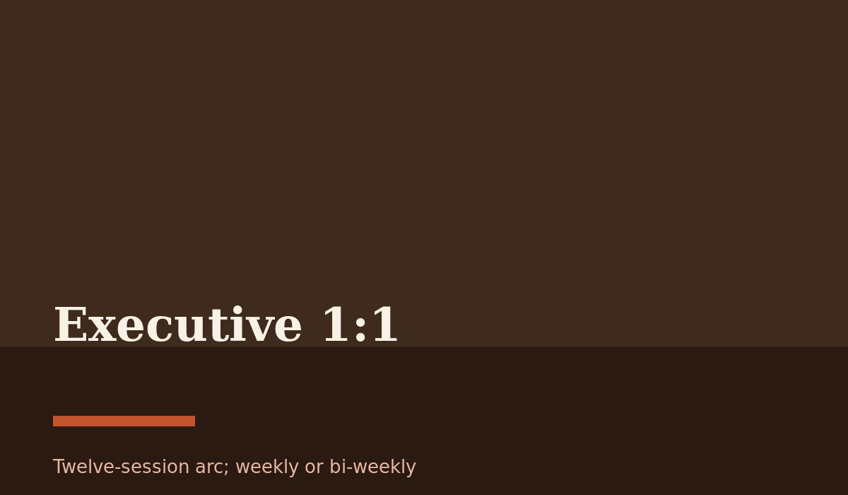 Executive 1:1